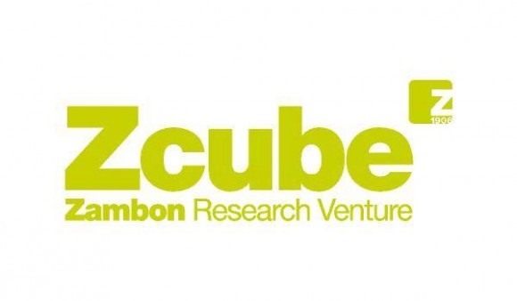 2003: Nasce o Z-Cube